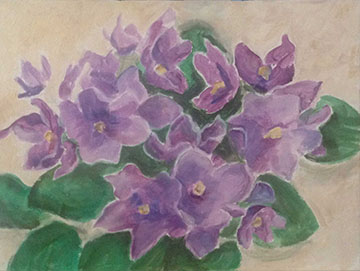 Beverly Nordberg, purple African violets