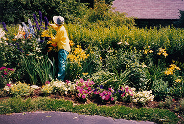 Beverly Nordberg, gardening