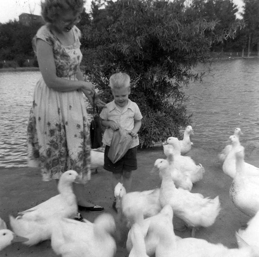 Beverly Nordberg, with Peter, feeding ducks